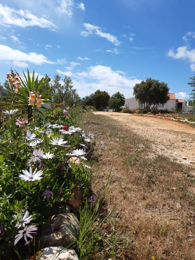 Quinta Da Jolanda-Happy Family Farm Lejlighed Lagos Eksteriør billede