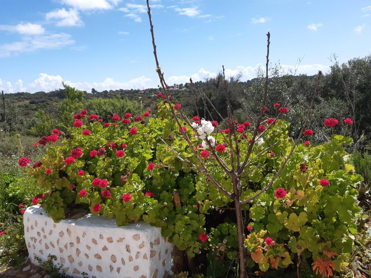 Quinta Da Jolanda-Happy Family Farm Lejlighed Lagos Eksteriør billede